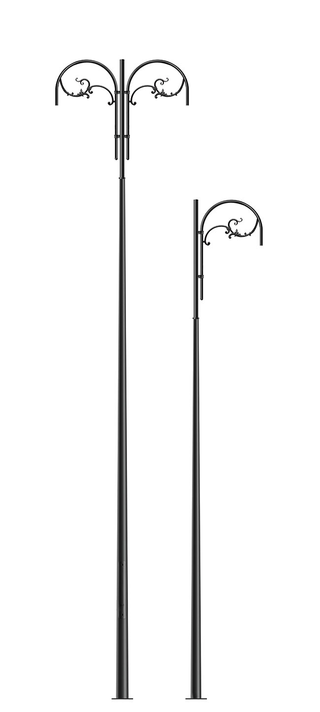 Pelican Aspen