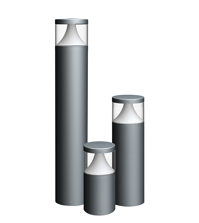 Vera Bollard